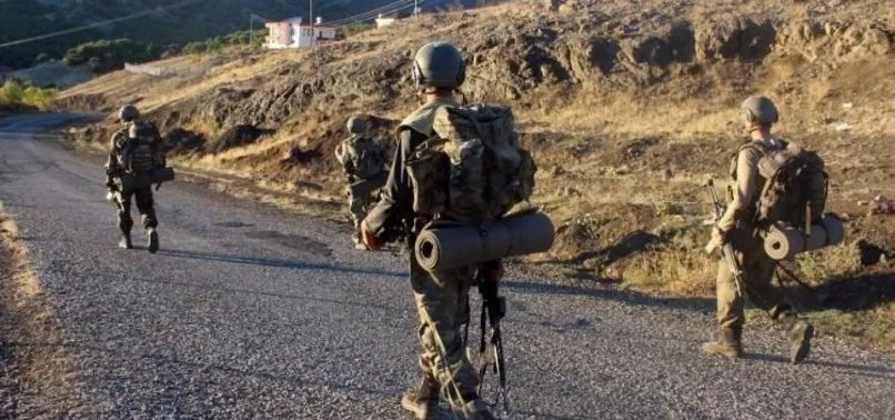 Bitlis'de etkisiz hale getirilen 4 teröristten 2'si gri listeden çıktı
