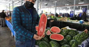 Pazar tezgahına 80 liradan giriş yaptı!