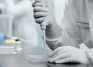 Koronavirüs tedavisinde flaş gelişme
