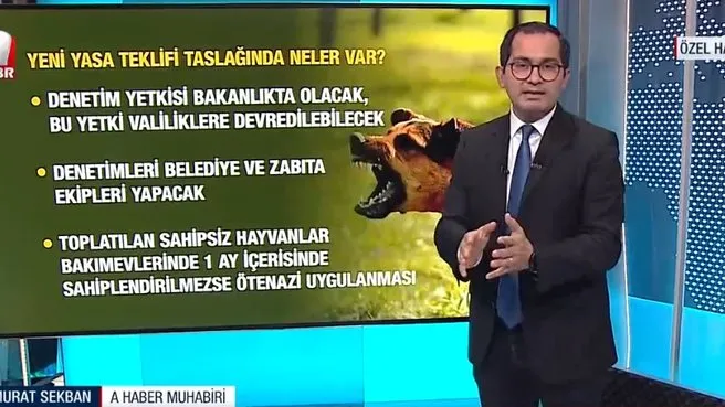 AK Parti’nin yasa taslağına A Haber ulaştı! İşte başıboş köpek düzenlemesinde detaylar