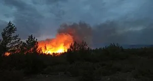 Muğla’da orman yangını!