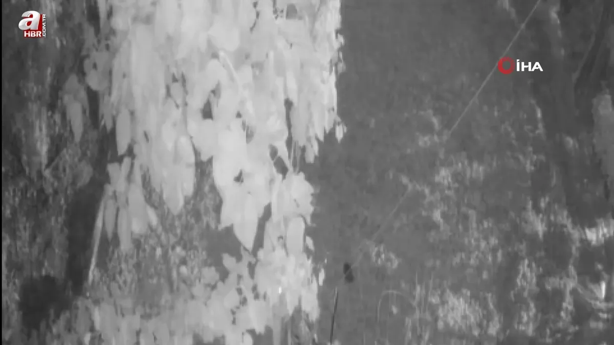 Fındığının çalındığını sandı! Gerçek kamerada ortaya çıktı