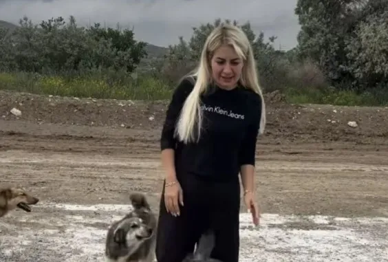 Şanlıurfa’dan kuduz köpekleri kaçırmıştı: Buket Özgünlü için istenen ceza belli oldu