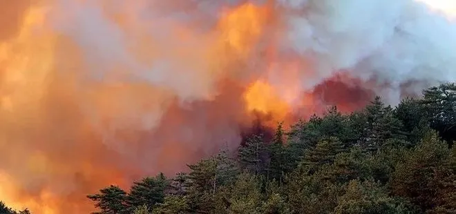 Bolu'da orman yangını nedeniyle tahliye edilen vatandaşlar yaşadıklarını anlattı: Devletimiz imdadımıza yetişti!