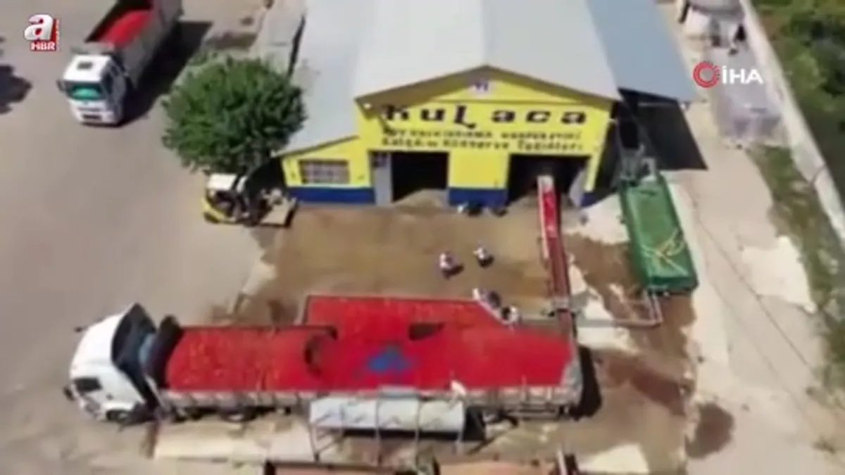 Bursa'da Hollanda'nın biber salçasını İnegöllü kadınlar üretiyor