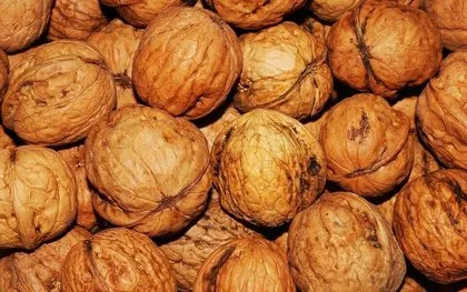 Faydaları saymakla bitmiyor! Cevizin insan sağlığına faydaları neler? Ceviz ile zayıflamak mümkün mü? Uzman isim tek tek anlattı