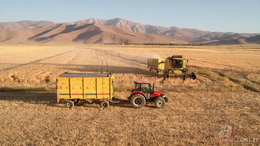 Van'da hububat üretiminde yüzde 75 artış! Sertifikalı tohumla ekim yapılıyor 4