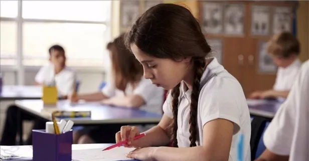 5 gün devamsızlığı olan belge alabilir mi? Ortaokul, lise takdir-teşekkür şartları neler? 2023 Karnede 2 olursa belge hakkı olur mu?