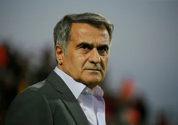 Şenol Güneş'ten penaltı açıklaması