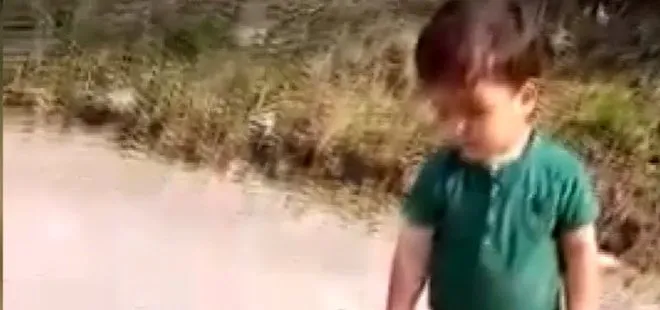 Görenler şaştı kaldı! 3 yaşındaki çocuk yılanla oynadı