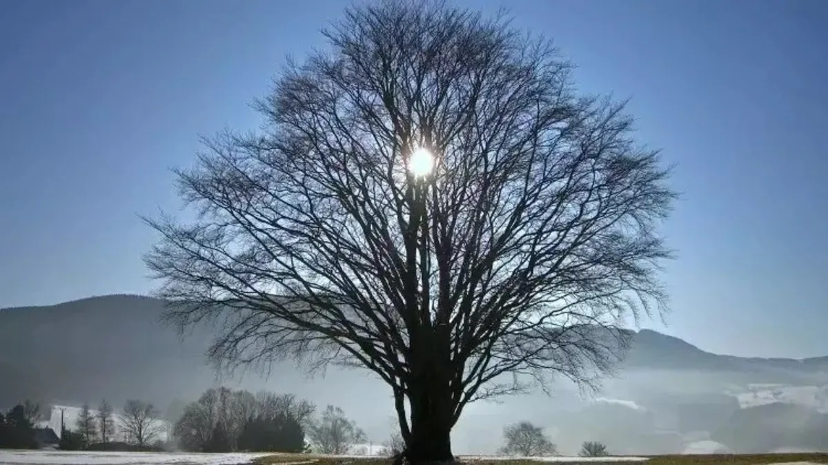 Günler ne zaman uzamaya başlayacak? Kış gündönümü tarihi ve etkileri