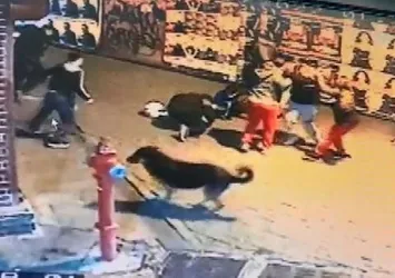 İstanbul’da dehşet anları! Önlerini kesip para istediler vermeyince bıçakladılar