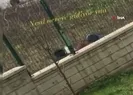 3 çocuğun yürek sızlatan görüntüsü!