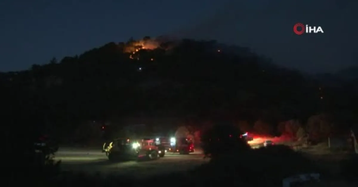 İzmir Foça'da orman alev alev yandı!