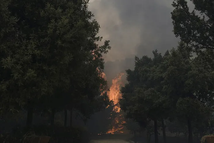 Yunanistan’daki orman yangınları söndürülemiyor! Yunanistan Başbakanı Kiryakos Miçotakis’ten umutsuz açıklamalar