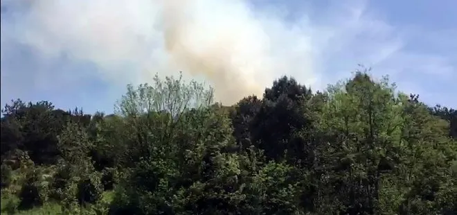 Son dakika: İstanbul Kavacık’ta orman yangını