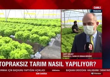 Topraksız tarım nasıl yapılıyor?