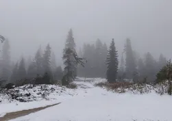 Ekim ayında kar sürprizi! Safranbolu'da ormanlar beyaza büründü