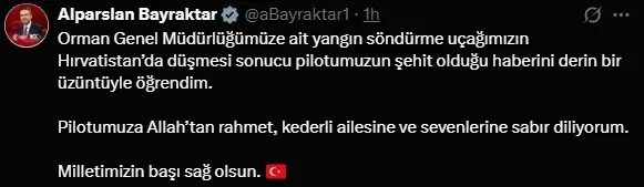 yangin-sondurme-ucagi-hirvatistanda-dustu-siyasilerden-taziye-mesajlari-1763070518144.jpg (fotoğraf: x platformu - ekran görüntüsü)