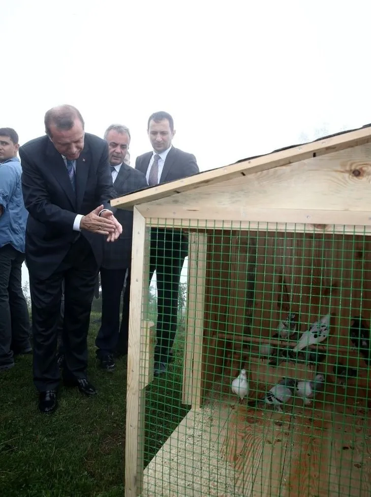 Erdoğan’ın başına keklik kondu