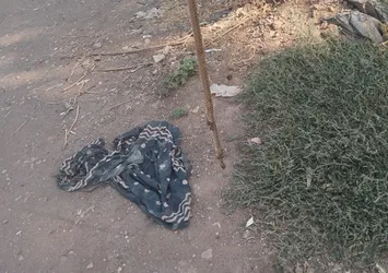 Çadırda yılan paniği! Demir çubukla... 🐍