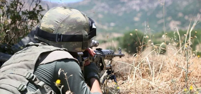 Muş'ta 3 terörist etkisiz hale getirildi