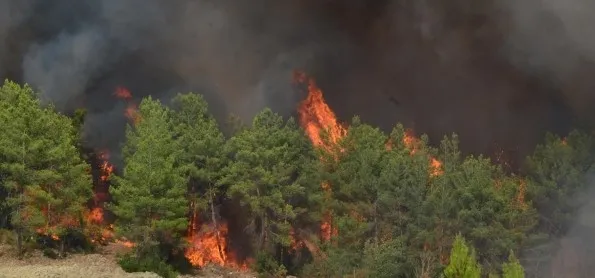 Orman yangınlarında Türkiye ne durumda? Bakan Yumaklı istatistikleri paylaştı