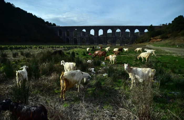 Uzman isimden korkutan uyarı: Barajları yüzde 100 doluluğa ulaştıramazsak büyük kentlere su yetiştirmemiz mümkün değil