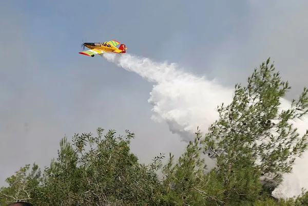 Son dakika: KKTC’deki yangın kontrol altına alındı