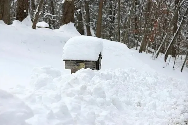 abdde-yogun-kar-yagisi-6-gun-21-kisinin-olumune-neden-oldu-1705530358456.jpeg ABD'de yoğun kar yağışı 6 gün 21 kişinin ölümüne neden oldu - 3
