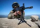 Şırnak’ta terör operasyonu: 11 tutuklama