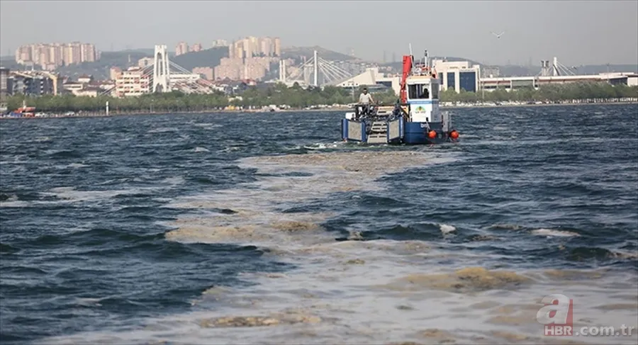 Deniz salyası ABD basınında: Marmara ölüyor! Çevre profesöründen kritik uyarı geldi 19