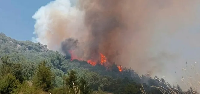 Osmaniye’de orman yangını! Havadan ve karadan anında müdahale... Yangın kontrol altına alındı
