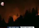 Kahramanmaraş’ta orman yangını