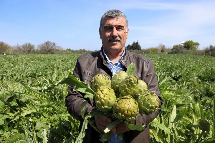 Resmen altın değerinde: Fiyatını duyan tarlasına koşuyor! Soğan salatalığı bırakıp bunu ekiyor