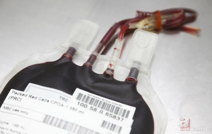 Hangi kan grubu nasıl beslenmeli? İşte kan grubunuza göre tüketmeniz gereken besinler... 7