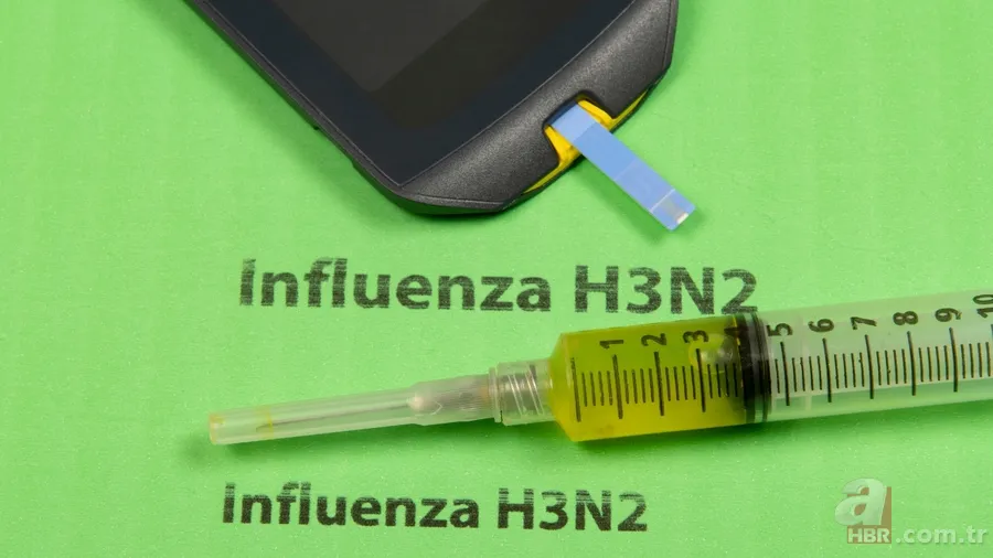 Yeni grip varyantı H3N2 nedir, nasıl bulaşır? Influenza A tedavisi nedir? 7