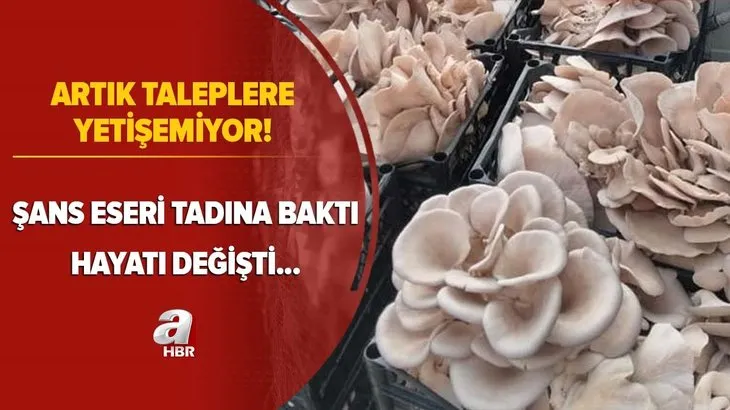 Şans eseri tadına baktı dünyası değişti! Artık taleplere yetişemiyor! Paraya para demiyor...