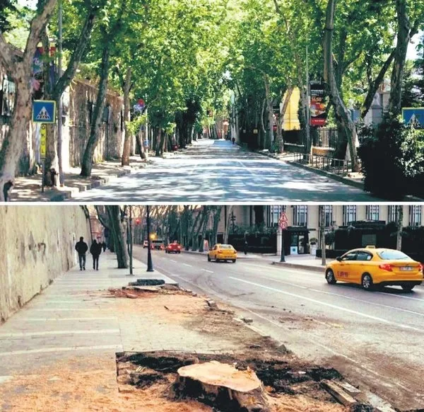 Son dakika: CHP’li İstanbul Büyükşehir Belediyesi’nin çınar katliamına tepkiler çığ gibi: Bu ihanettir