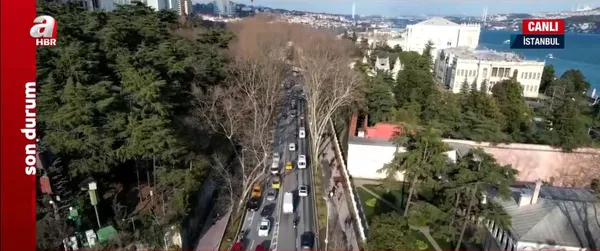 CHP’li İBB’nin ağaç katliamı sonrası Çırağan Caddesi! Silüeti bozulan yol A Haber drone kamerasında