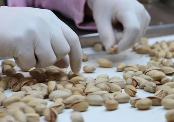 Antep fıstığı da 'Çin Seddi'ni aştı