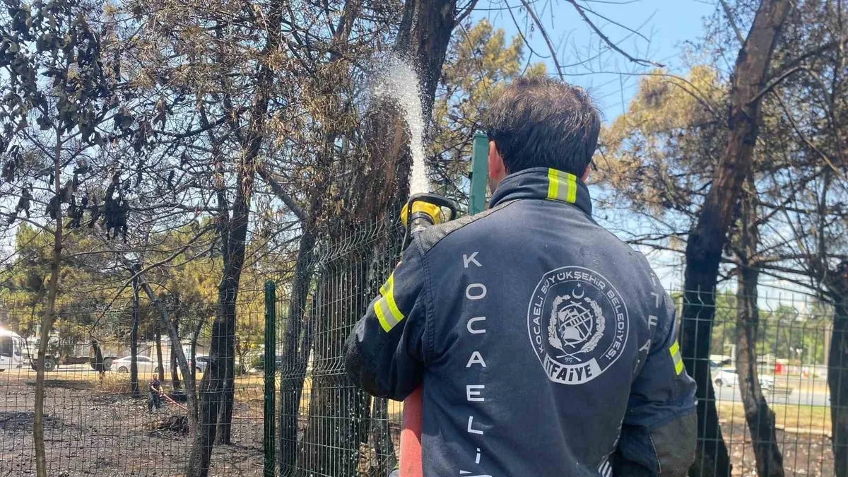 Kocaeli'de ağaçlık alanda yangın çıktı, 4 kişi dumandan etkilendi