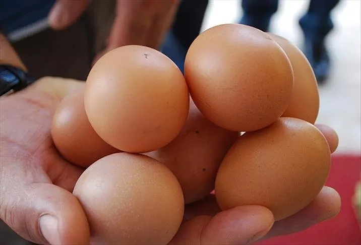 Meğer yöntemi çok basitmiş! Haşlanmış yumurta tek seferde soyulacak...