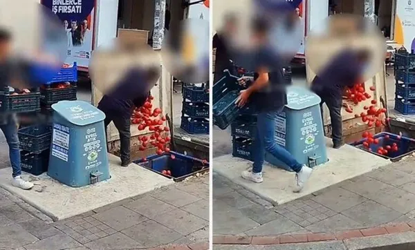 1692348284576.jpeg Kasalarca domates çöpe dökülmüştü! O market için harekete geçildi - 2