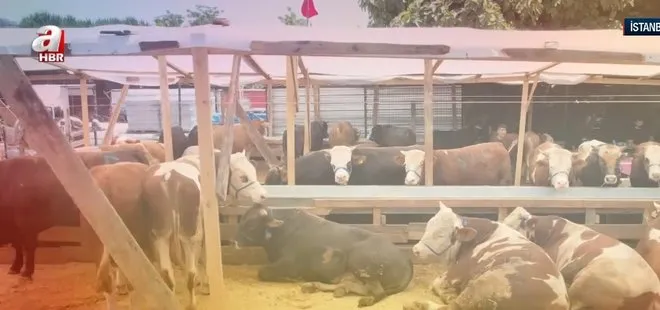 Güvenli kurban satışı! Sahte paraya karşı makinalı önlem