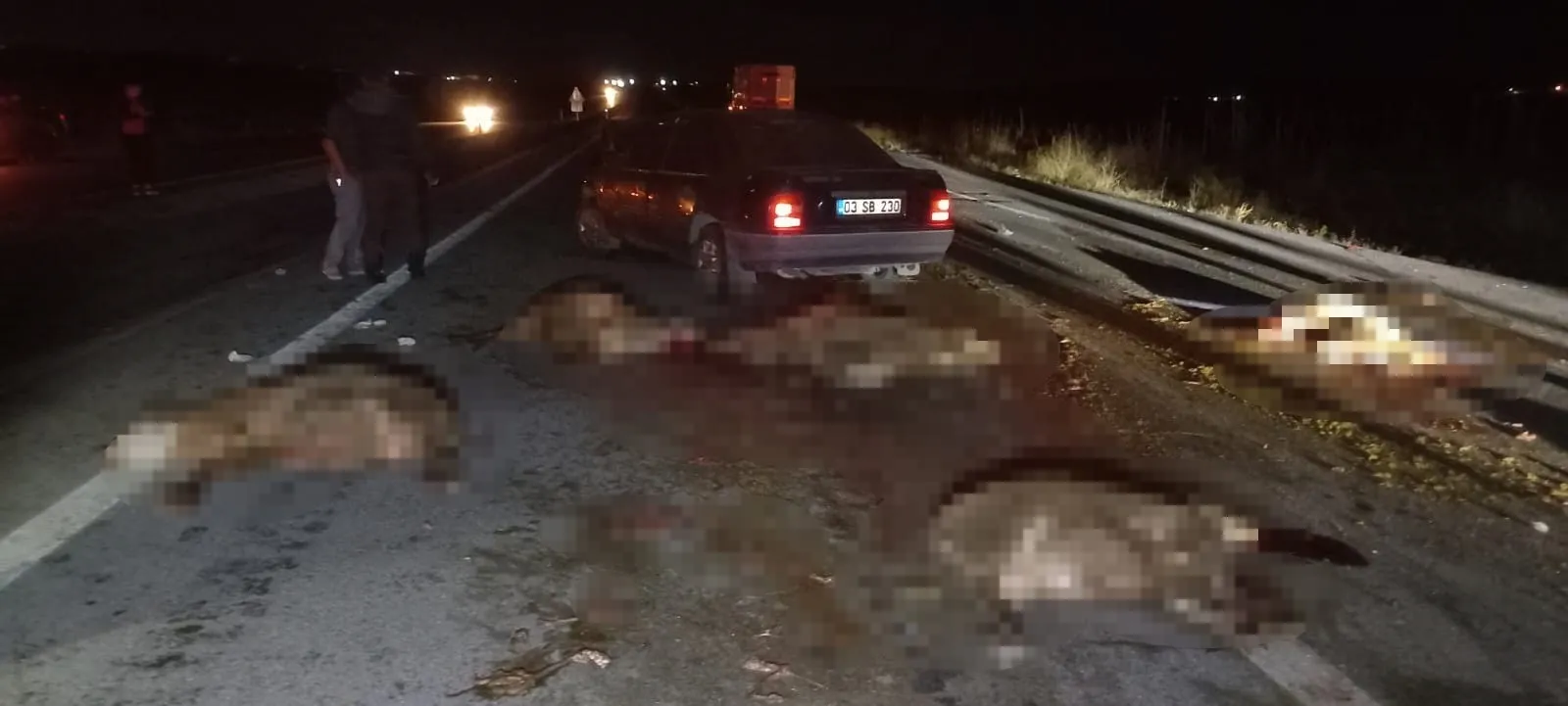 Afyonkarahisar otomobil sürüye çarptı! 20 koyun telef oldu