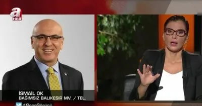 İYİ Parti'den istifa eden Balıkesir Milletvekili İsmail Ok: Operasyonun başı Meral Akşener!