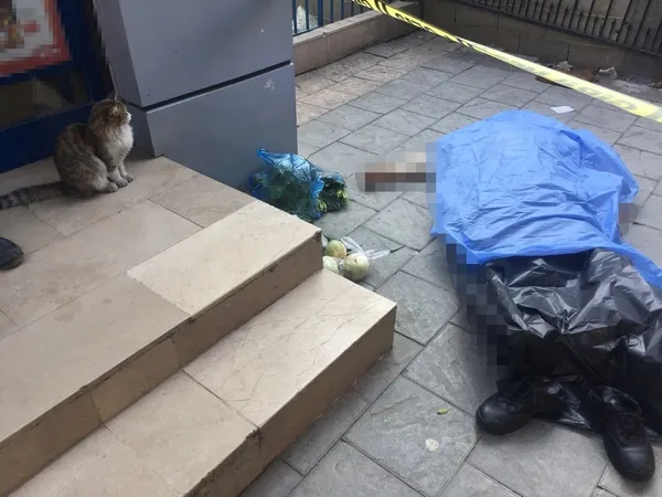 adanada-yurek-yakan-olum-kedi-cesedin-basindan-ayrilmadi-goren-kendine-gelemedi-1640678492537.jpg Adana’da yürek yakan ölüm: Kedi cesedin başından ayrılmadı! Gören kendine gelemedi - 1