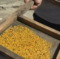 Şifa deposu! Kilogramı 1.300 lira