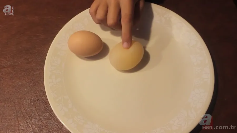 Beslediği tavuğun yumurtasını almak için kümese girdi! Yumurtayı eline alınca gözlerine inanamadı 19